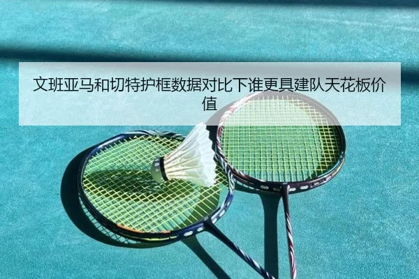 wen-ban-ya-ma-he-qie-te-hu-kuang-shu-ju-dui-bi-xia-shui-geng-ju-jian-dui-tian-hua-ban-jia-zhi-2-702.jpg